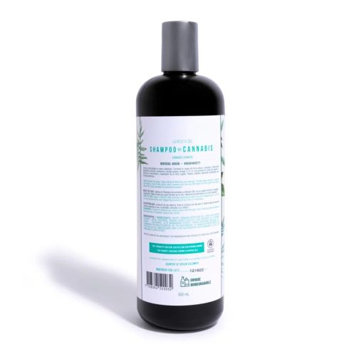 SHAMPOO DE ARGÁN PARA CABELLO SECO LA RECETA 500 ML - Imagen 2